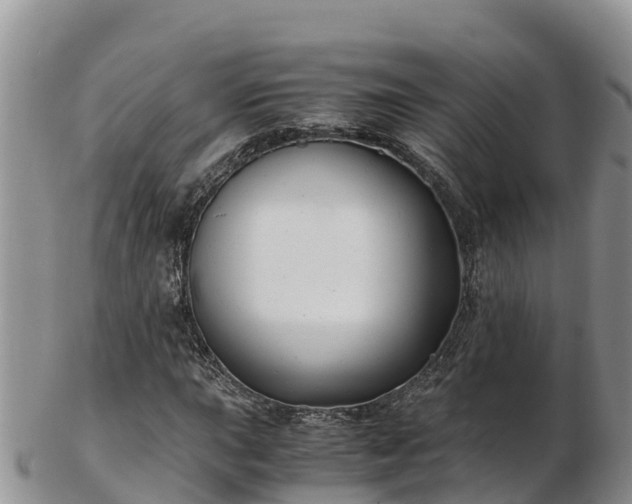 X0000103311015200809051540