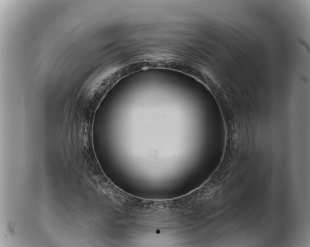 X0000103311016200809051540
