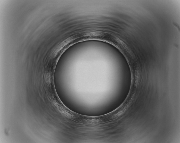 X0000103311017200809051540