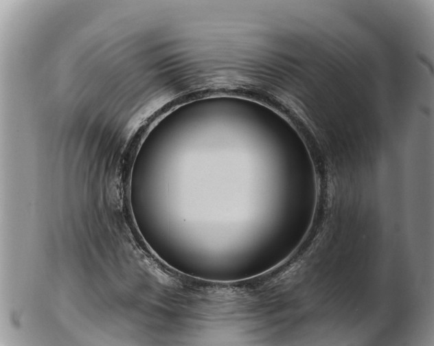 X0000103311018200809051540