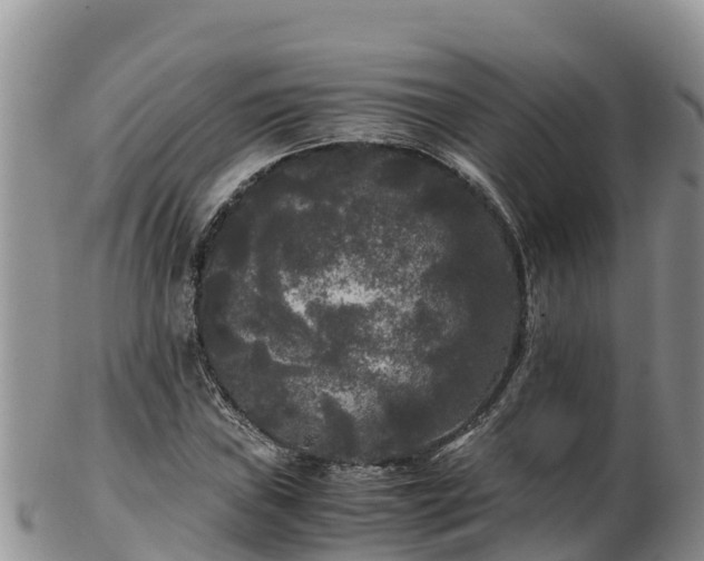 X0000103311019200809051540