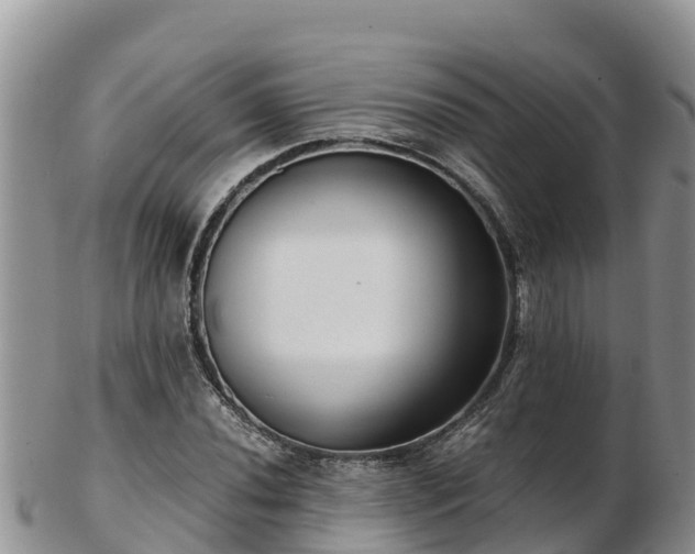 X0000103311020200809051540