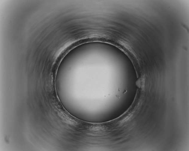 X0000103311021200809051540