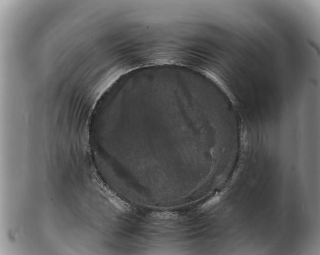 X0000103311023200809051540