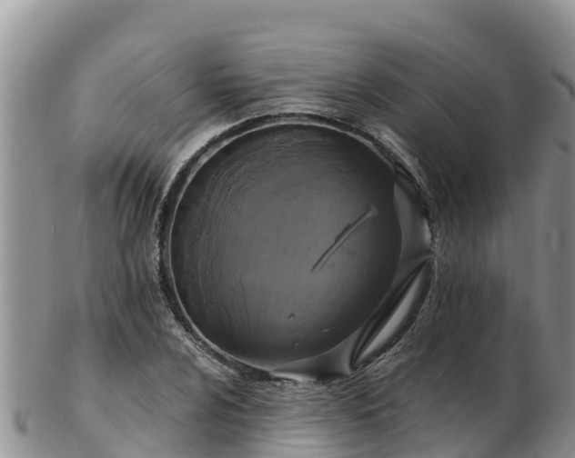 X0000103311024200809051540