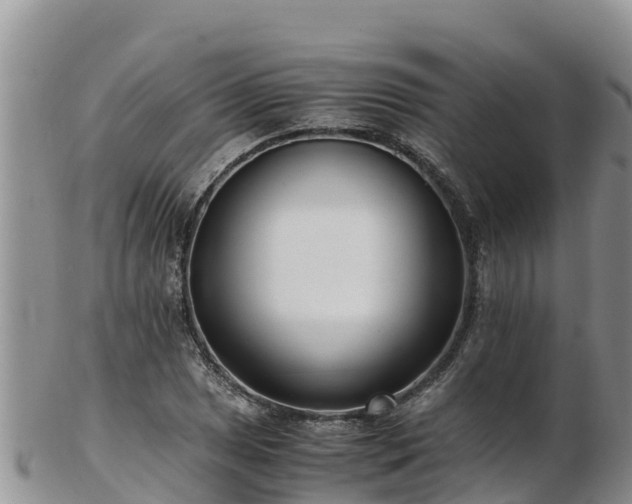 X0000103311025200809051540