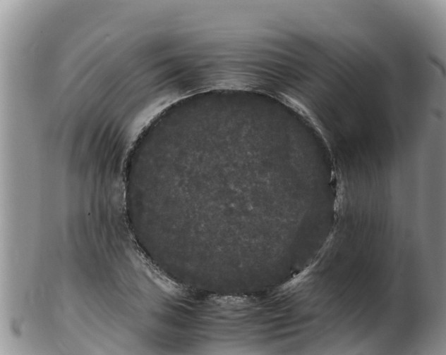 X0000103311027200809051540