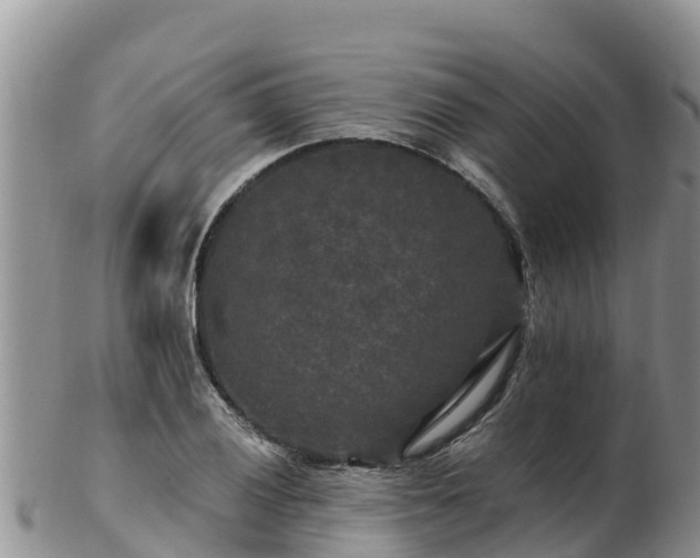 X0000103311028200809051540
