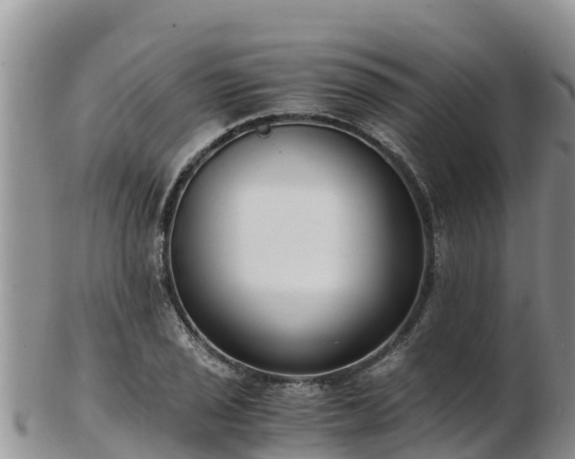 X0000103311029200809051540