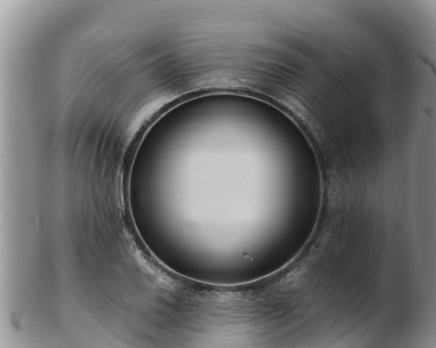 X0000103311030200809051540