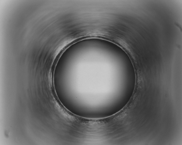 X0000103311032200809051540