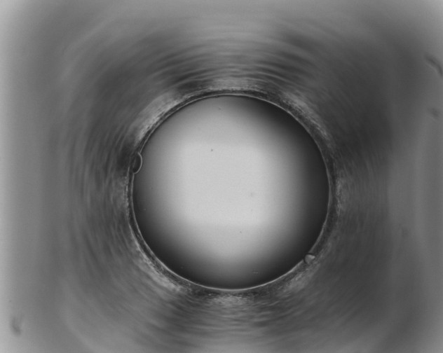 X0000103311033200809051540