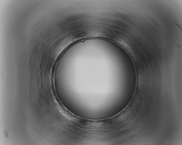 X0000103311039200809051540