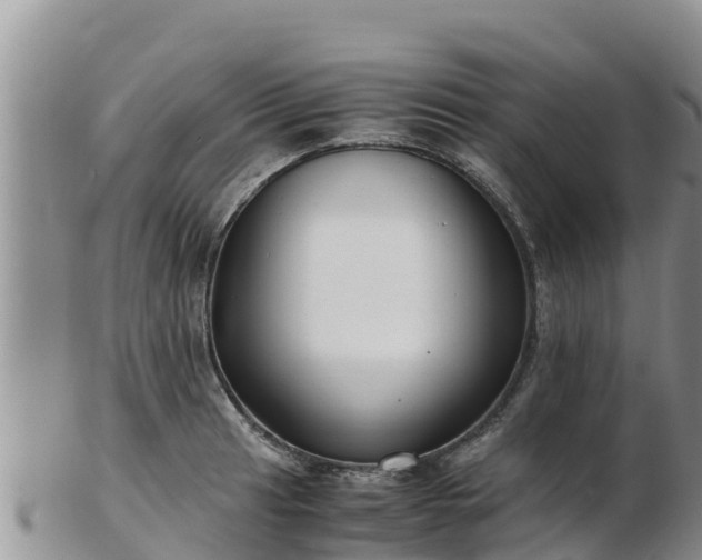 X0000103311041200809051540