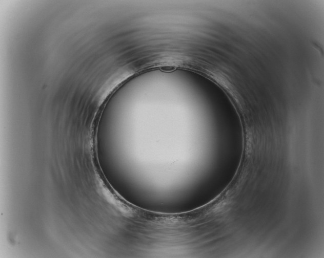X0000103311042200809051540