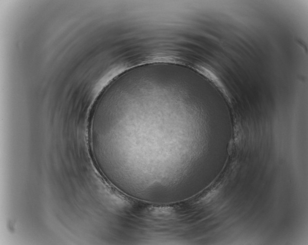 X0000103311043200809051540