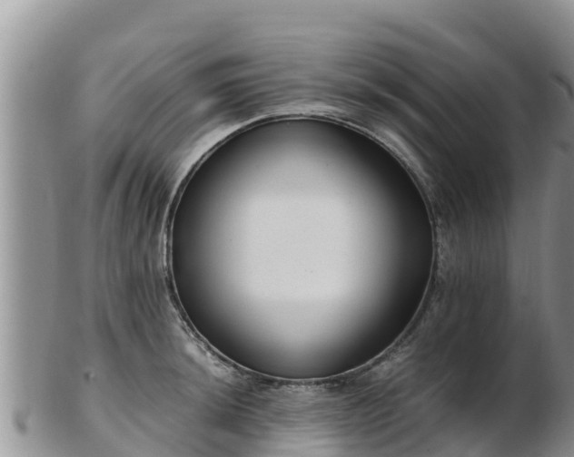 X0000103311044200809051540