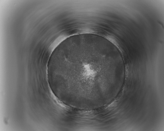 X0000103311047200809051540