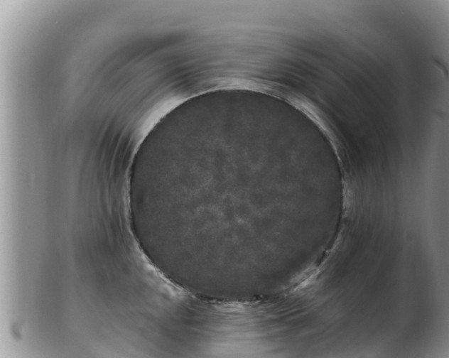 X0000103311048200809051540
