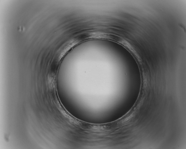 X0000103311049200809051540