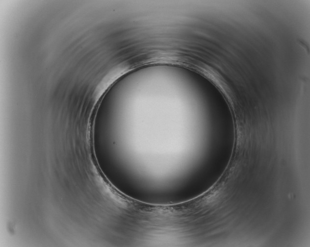 X0000103311050200809051540