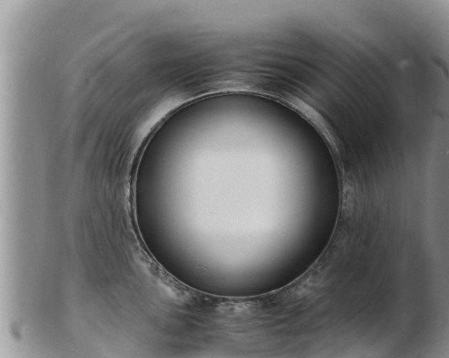 X0000103311051200809051540