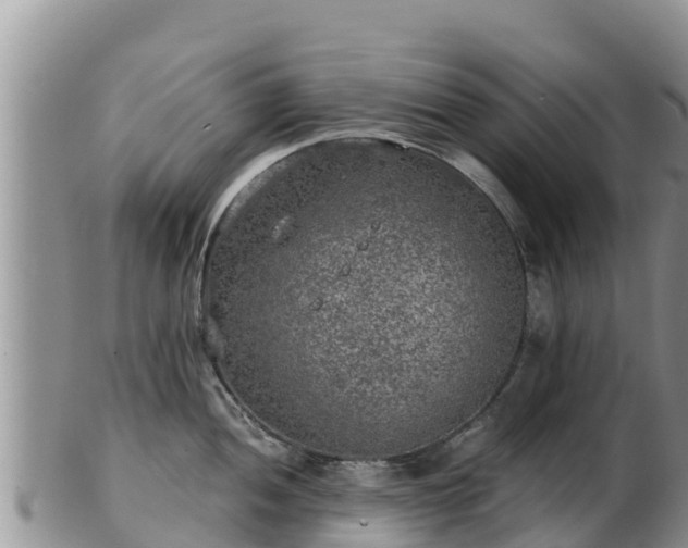 X0000103311052200809051540