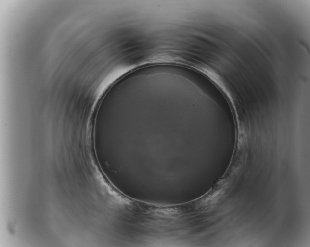 X0000103311053200809051540