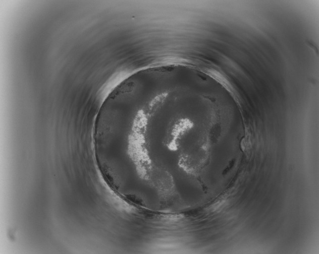 X0000103311055200809051540