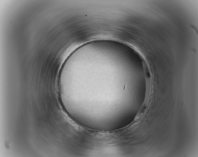 X0000103311056200809051540