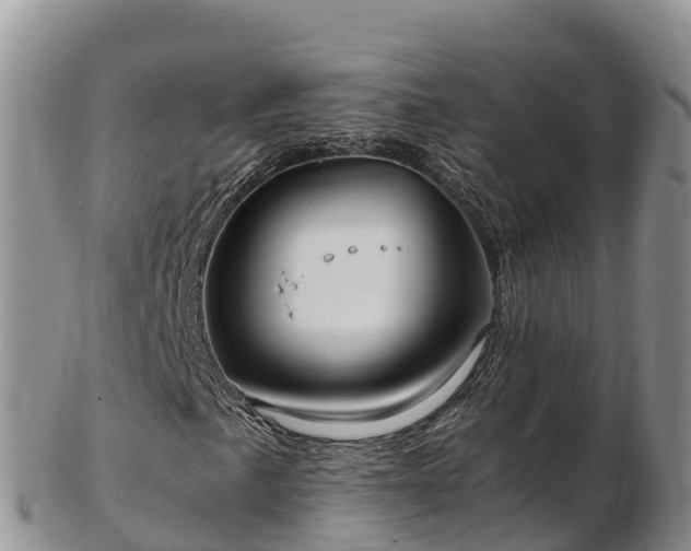 X0000103311057200809051540