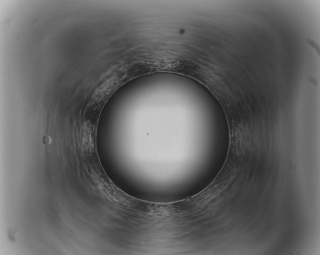 X0000103311058200809051540