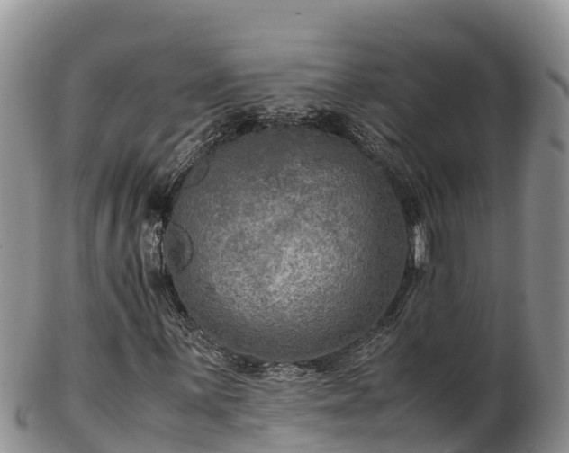X0000103311059200809051540