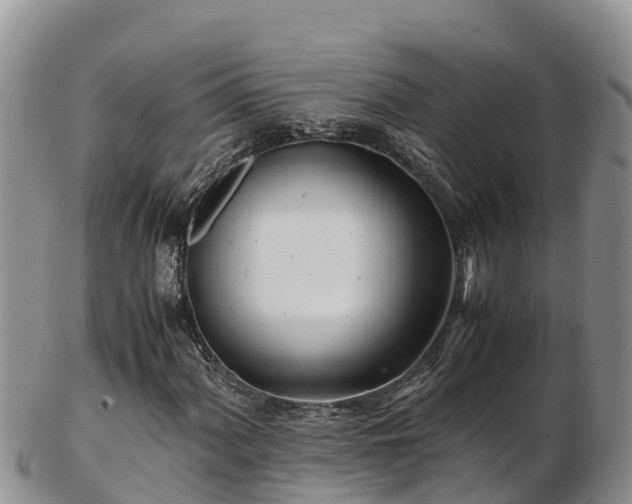 X0000103311060200809051540