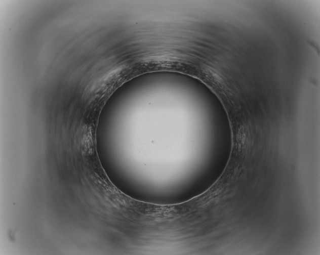 X0000103311062200809051540