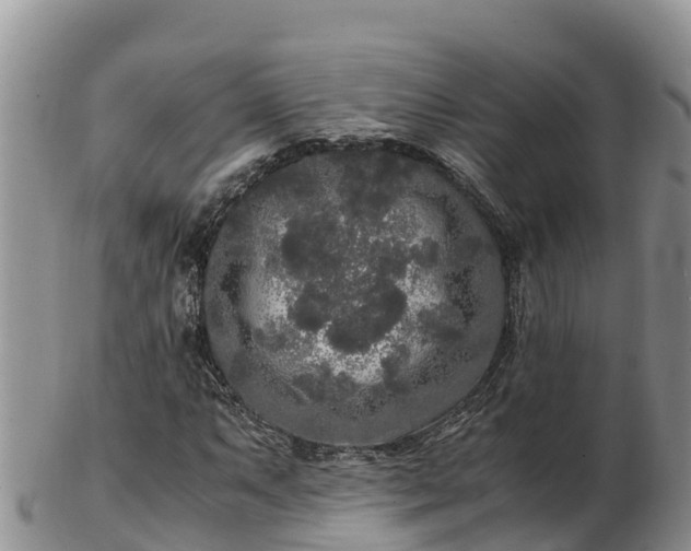 X0000103311063200809051540