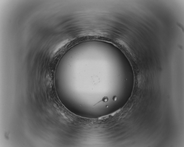 X0000103311064200809051540