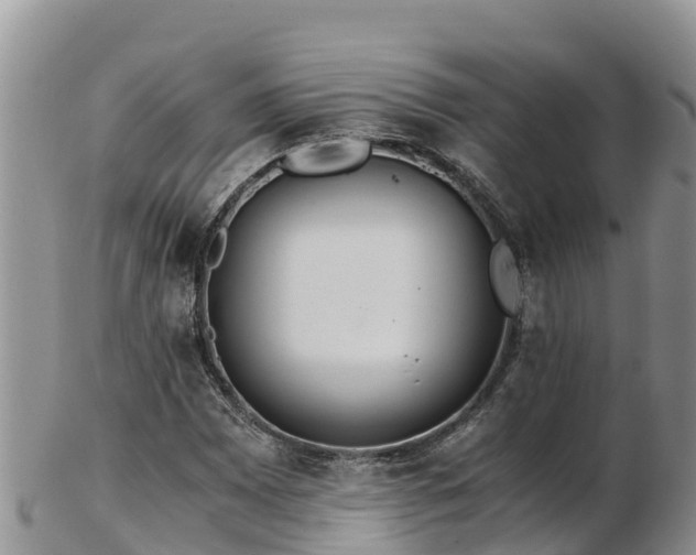 X0000103311065200809051540