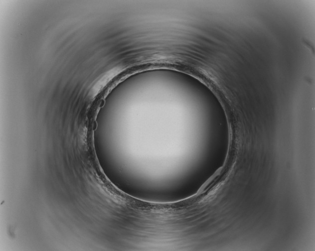 X0000103311066200809051540