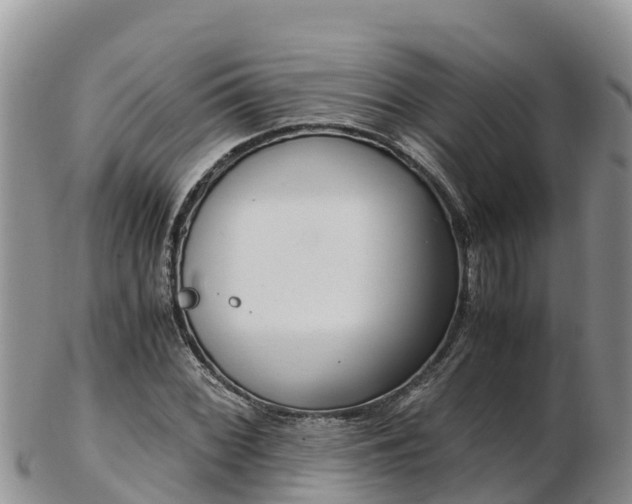 X0000103311068200809051539