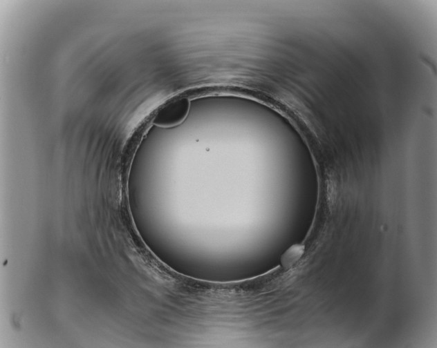 X0000103311069200809051539