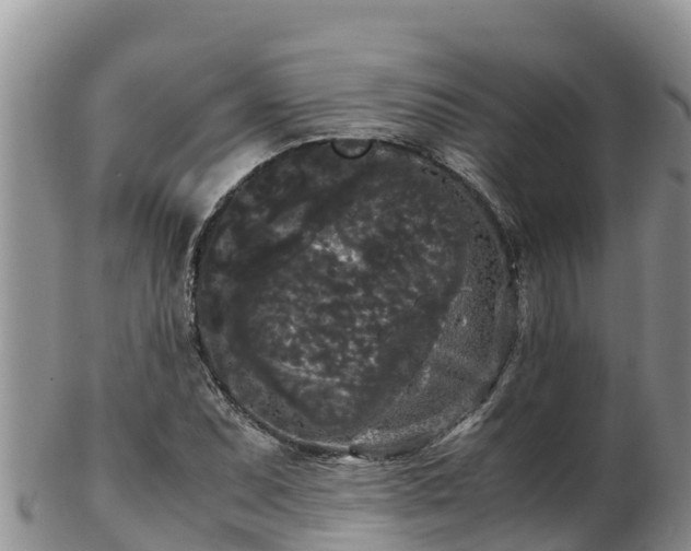 X0000103311071200809051539