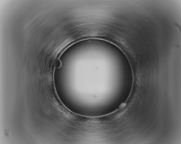 X0000103311073200809051539