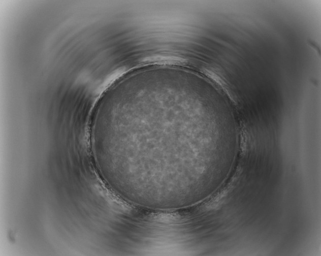 X0000103311074200809051539