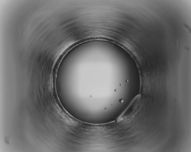 X0000103311076200809051539