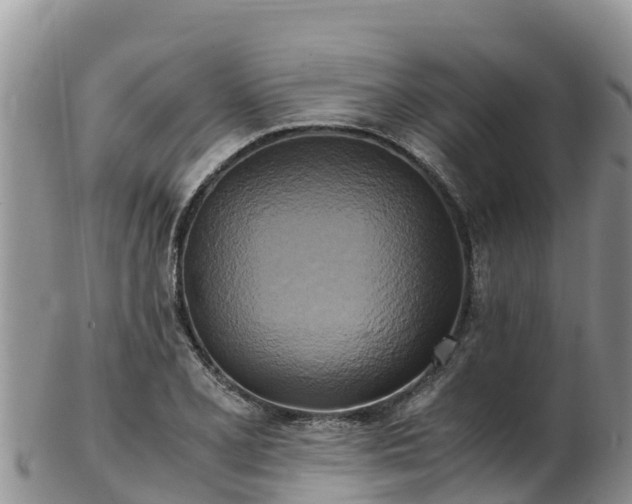 X0000103311077200809051539