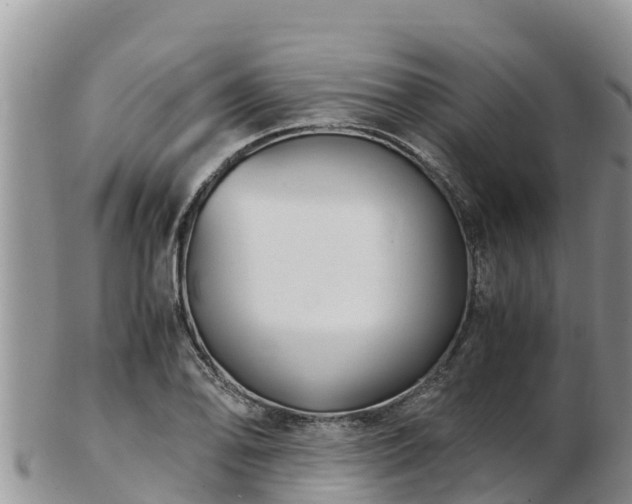 X0000103311078200809051539