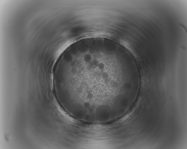 X0000103311079200809051539