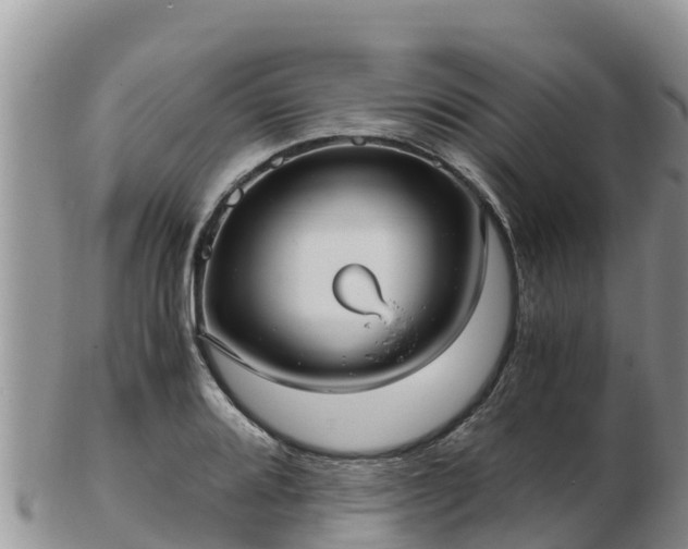 X0000103311080200809051539
