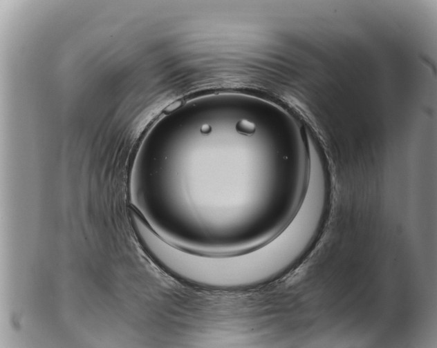 X0000103311081200809051539